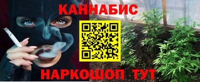 прущие грибы Краснознаменск