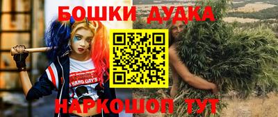 прущие грибы Краснознаменск