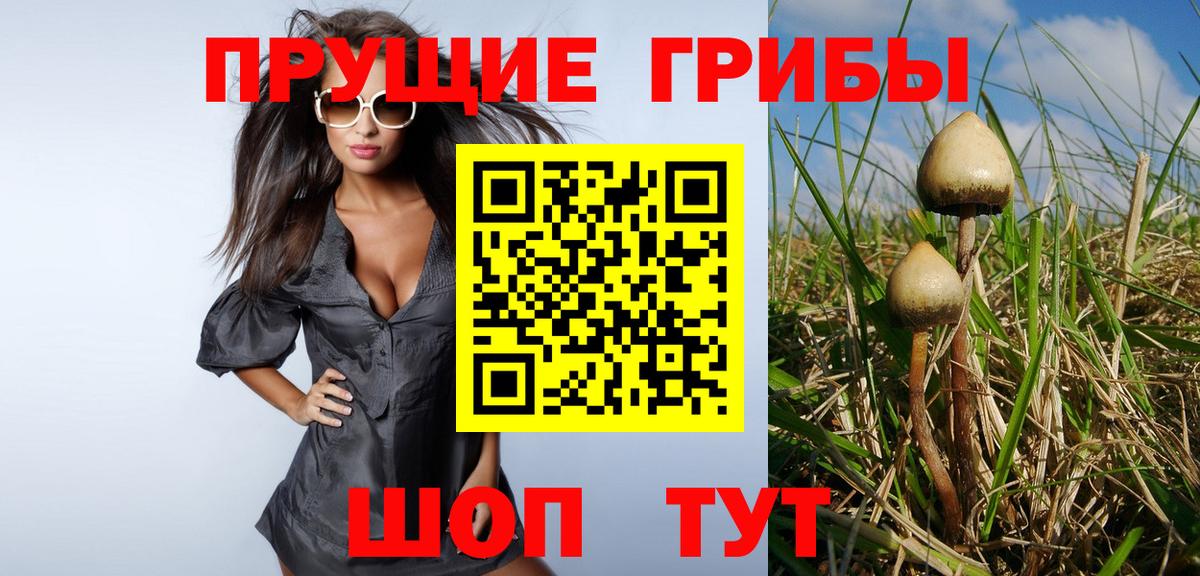 Чебоксары  Псилоцибиновые грибы прущие грибы  Псилоцибиновые грибы мухоморы  Вход с VPN 
