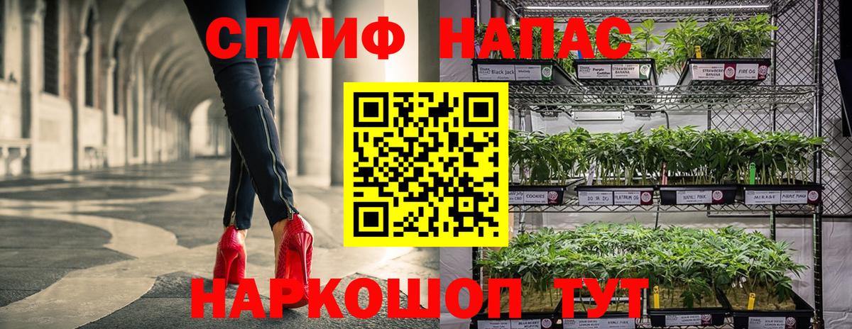 Бошки Шишки White Widow  Бошки Шишки индика  Канабис семена  Чебоксары  Вход с VPN 
